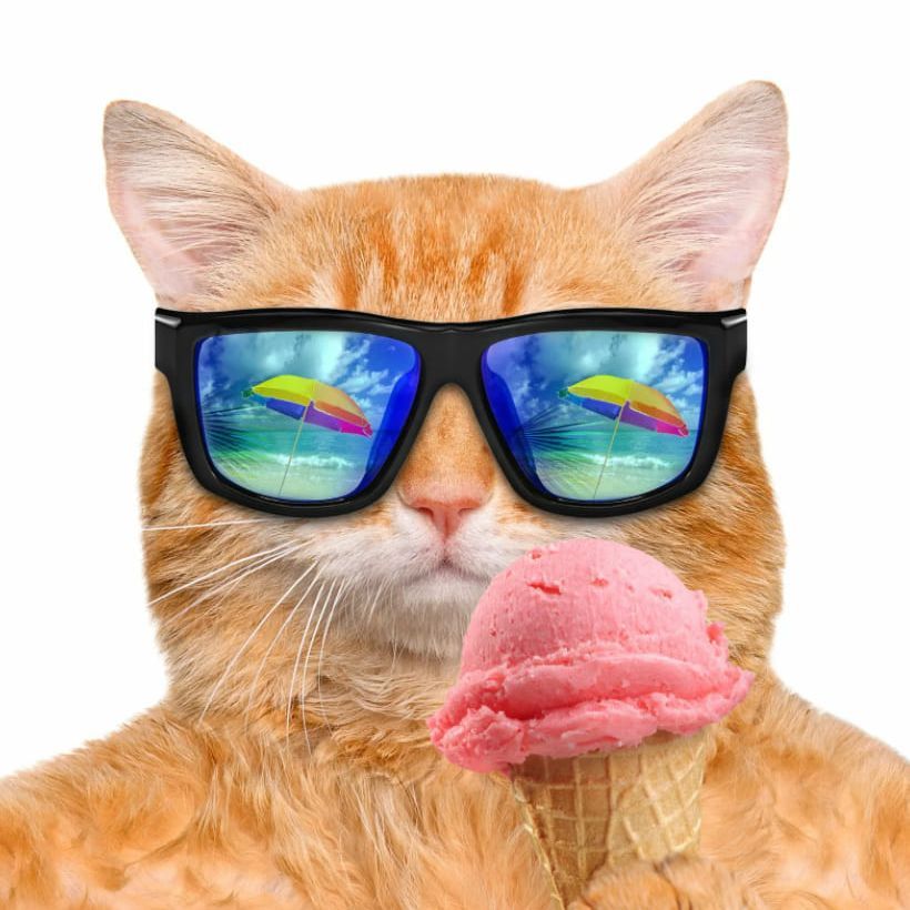 f3RRYM avatar