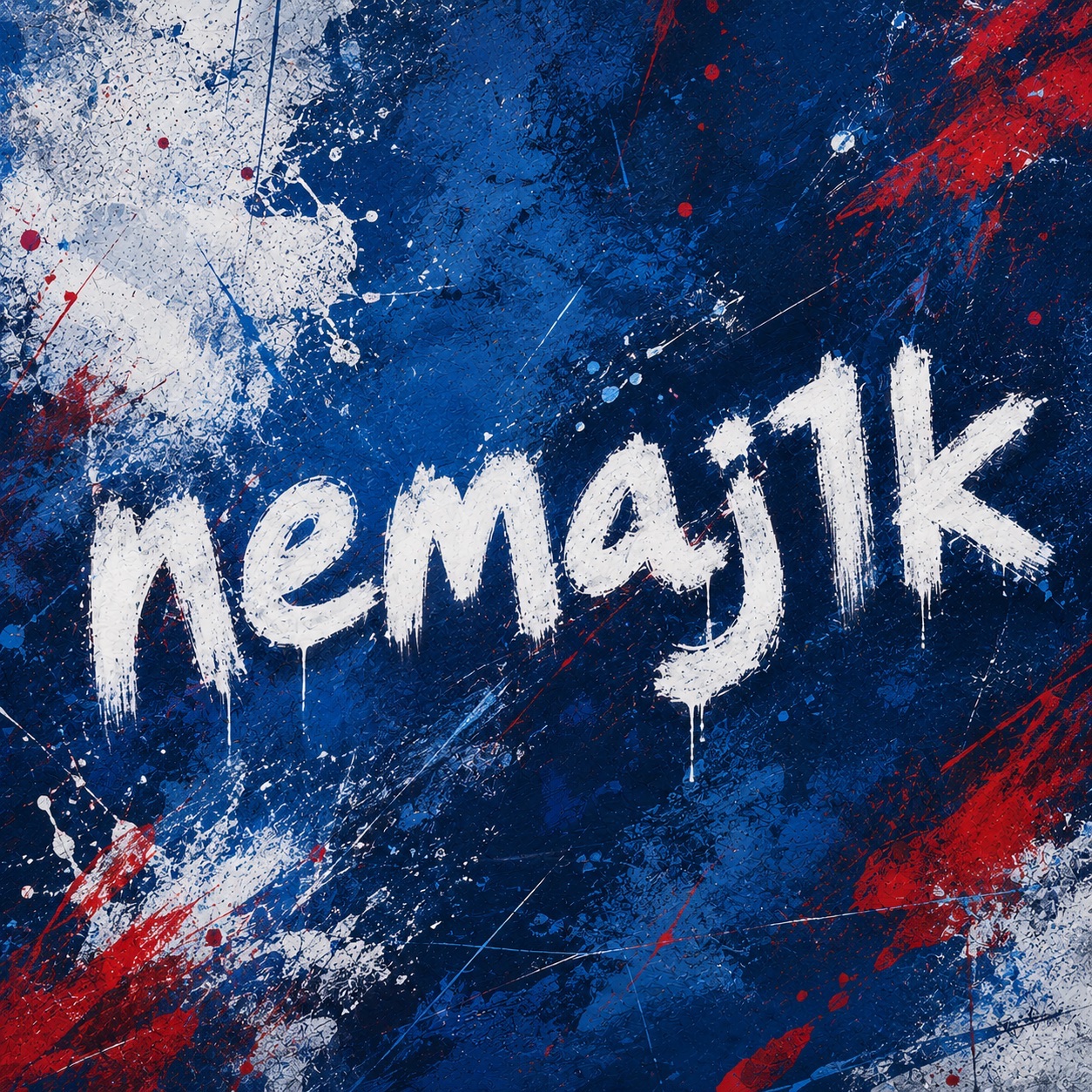 nemaj1k FACEIT avatar