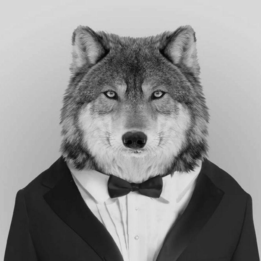 jewjick avatar