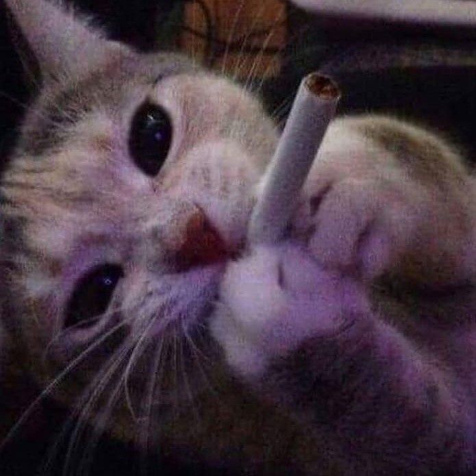 shusha
