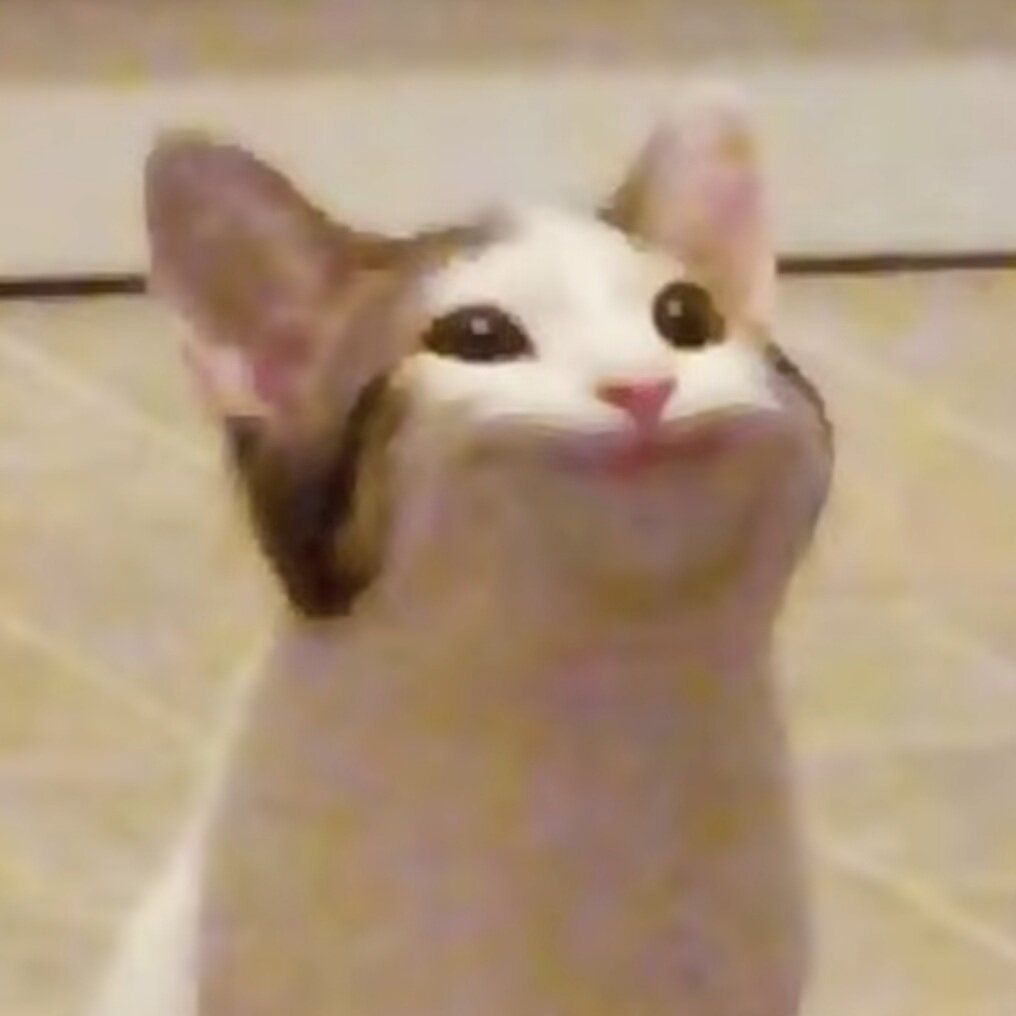 sncheq