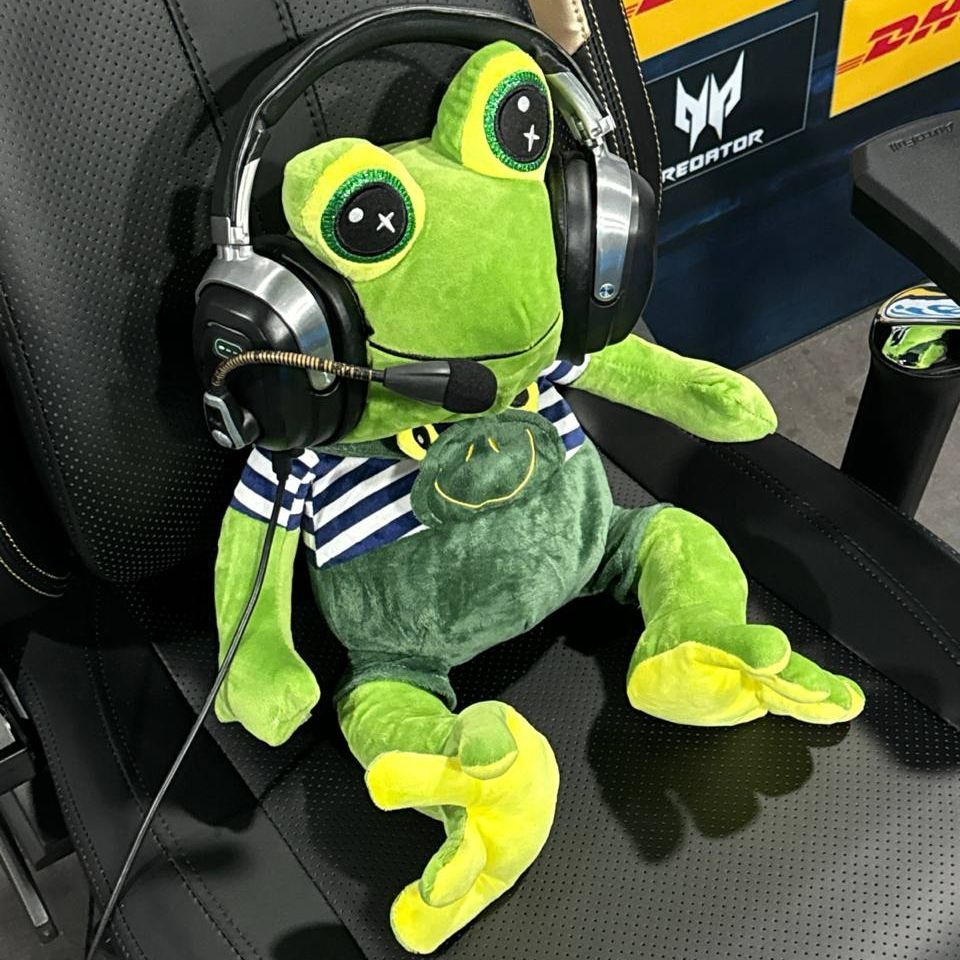 -Flaxii- FACEIT avatar