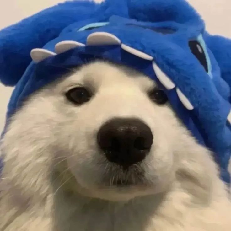 Kubulson
