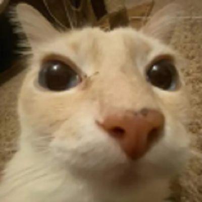 Zack___ avatar