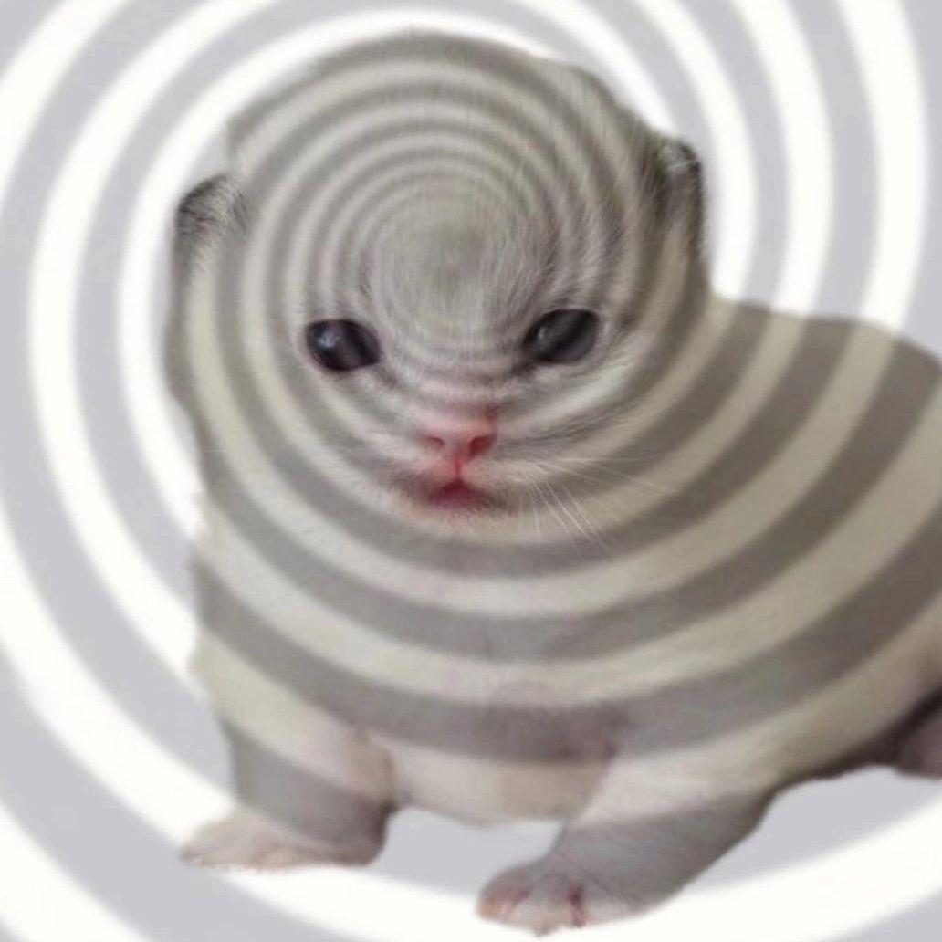 IIIaYrma avatar