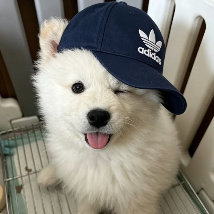 Faceit Avatar