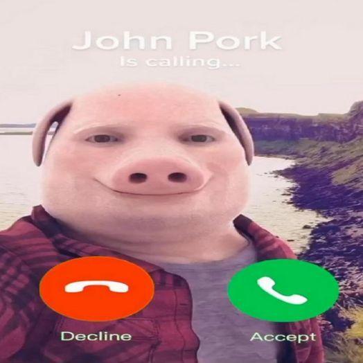 JohnPorkCS avatar