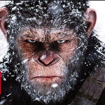 ApeMongoloids