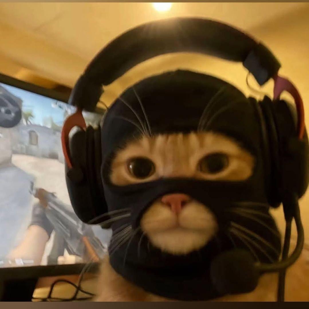 Trix1er avatar