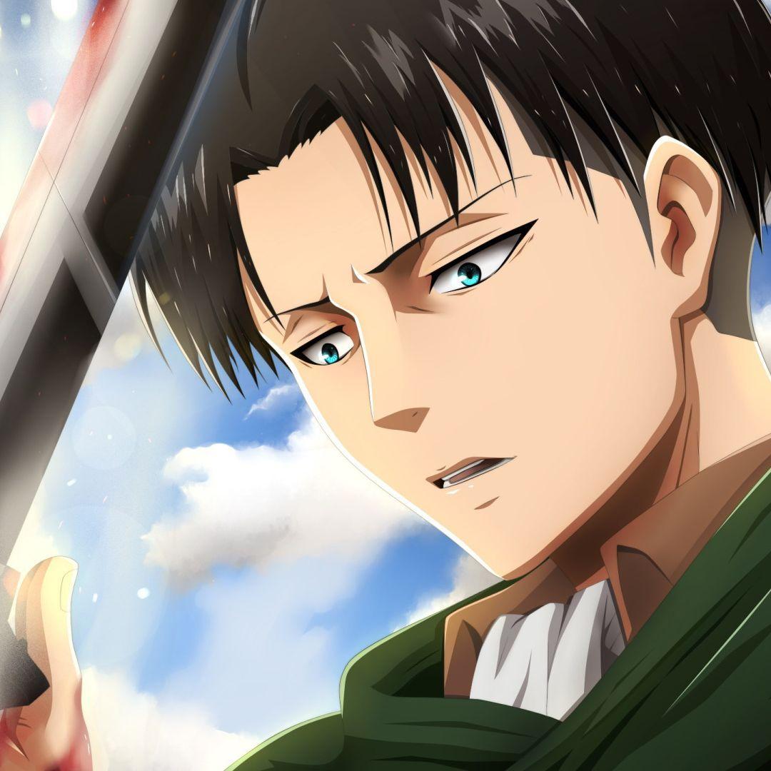 ackermanio avatar