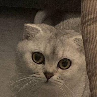 -meow