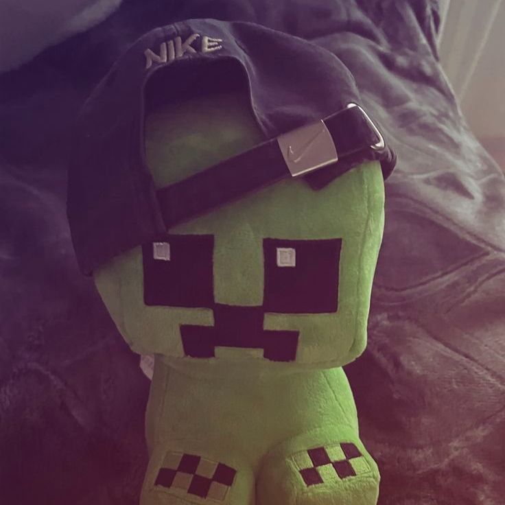 iinVISIBIE