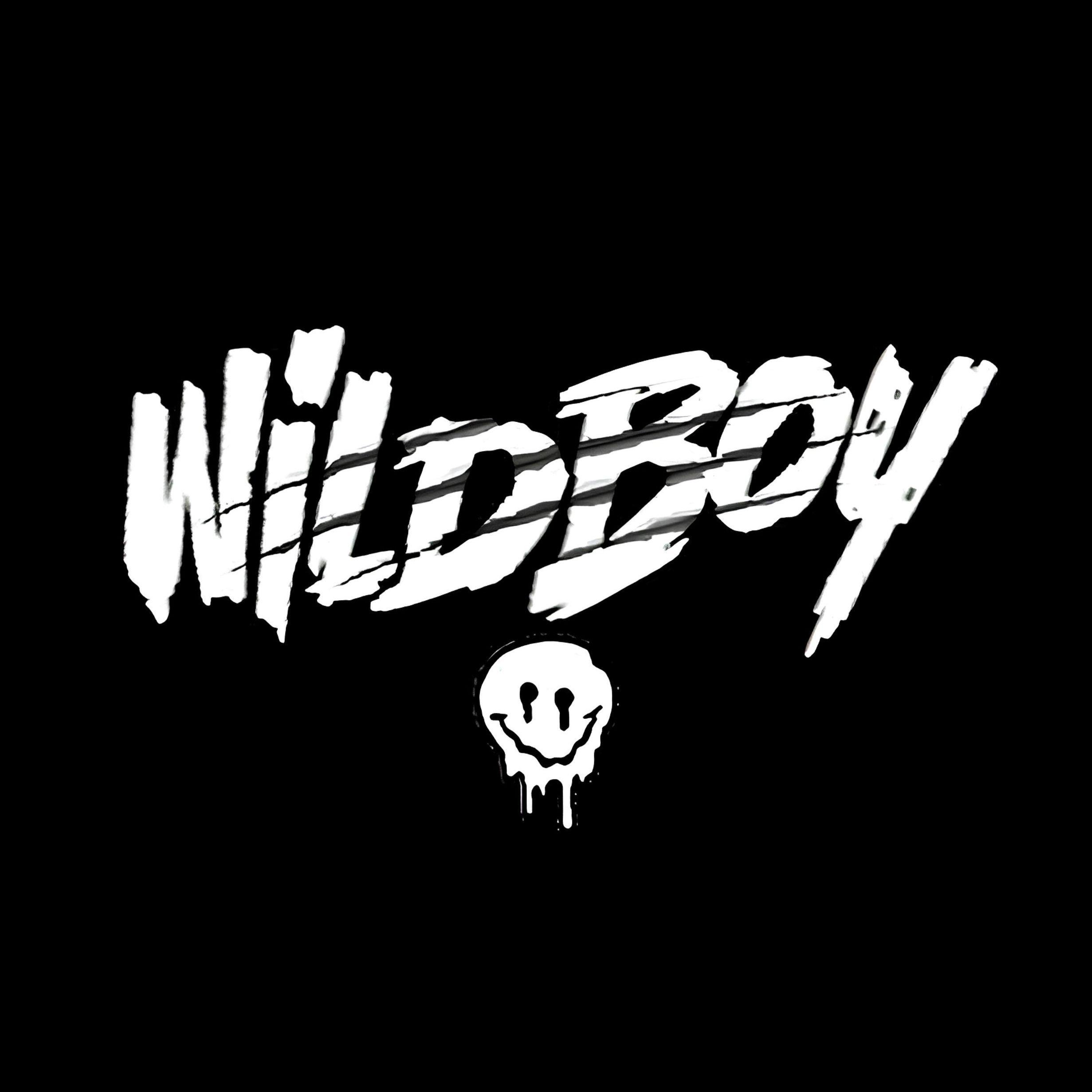 Player Wiiildboy avatar