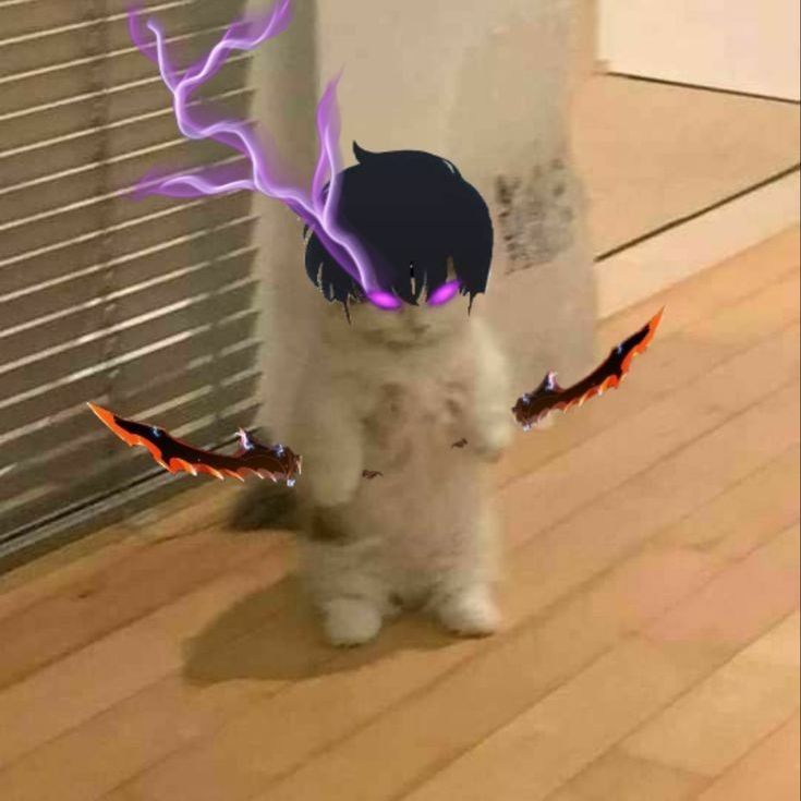 TTpostoo