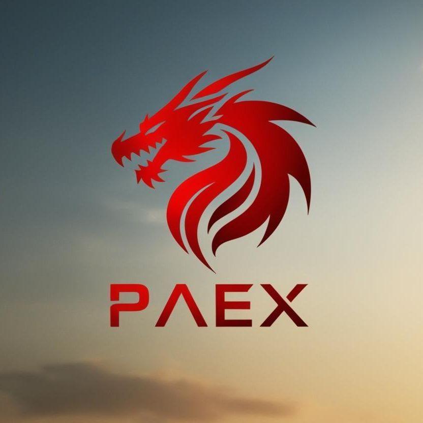 Player Paex1 avatar