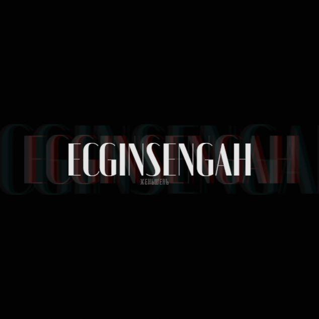 Player ECGINSENGAH avatar