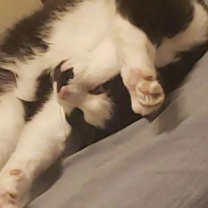 KEF_ avatar