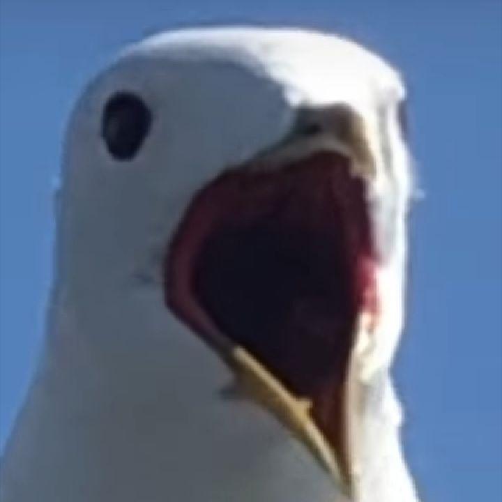 ruben9995 avatar