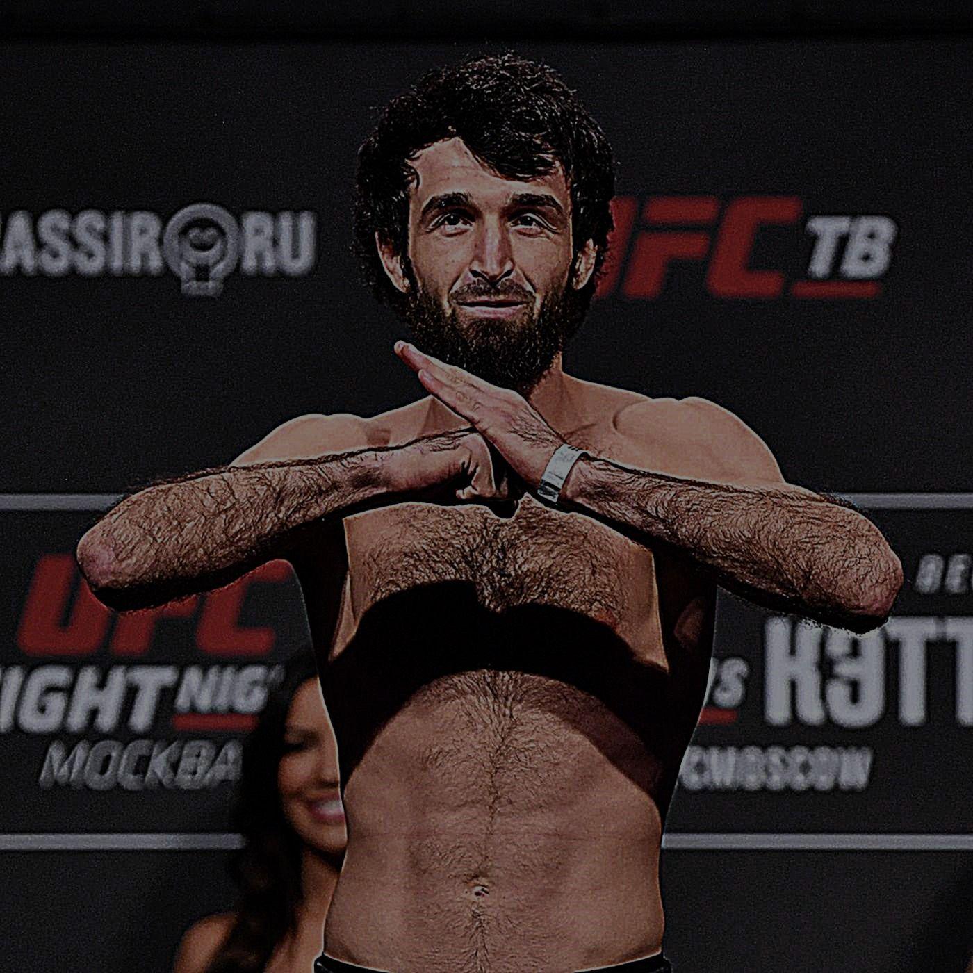 ZenitMonster avatar