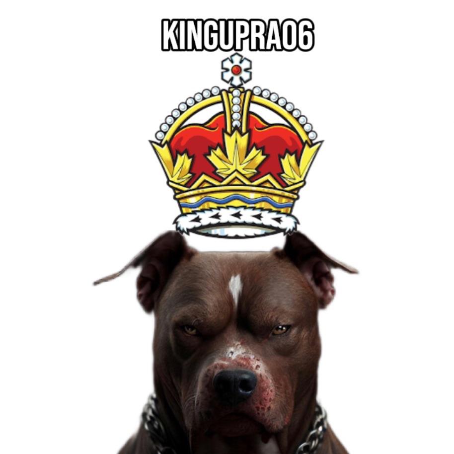 kinguPRA