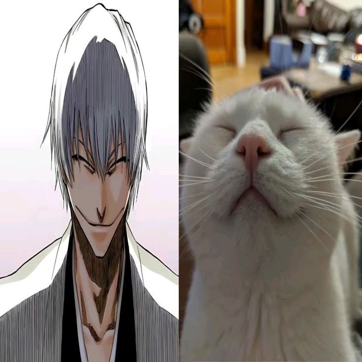kyuuiq