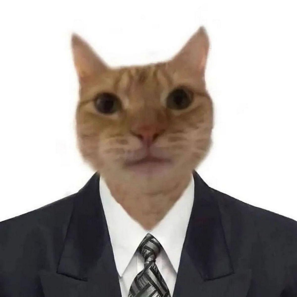 Mr_NO0b avatar