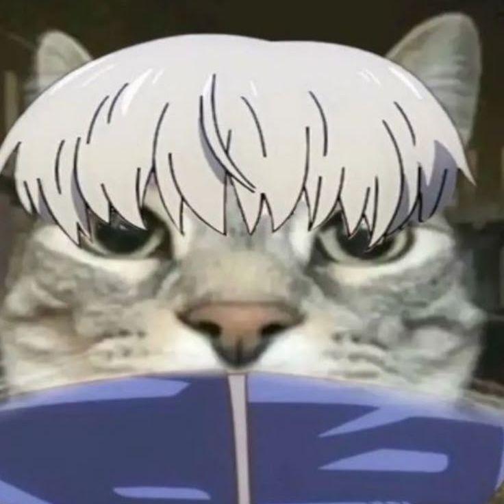 Kito7777