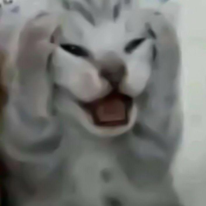 1lutinaa avatar