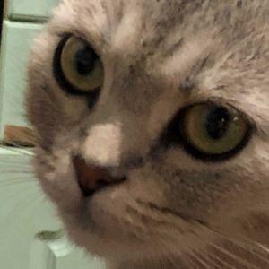 MaloySanya avatar