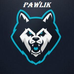 Player 1PAWLIK1 avatar