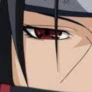 1NSANEEE-