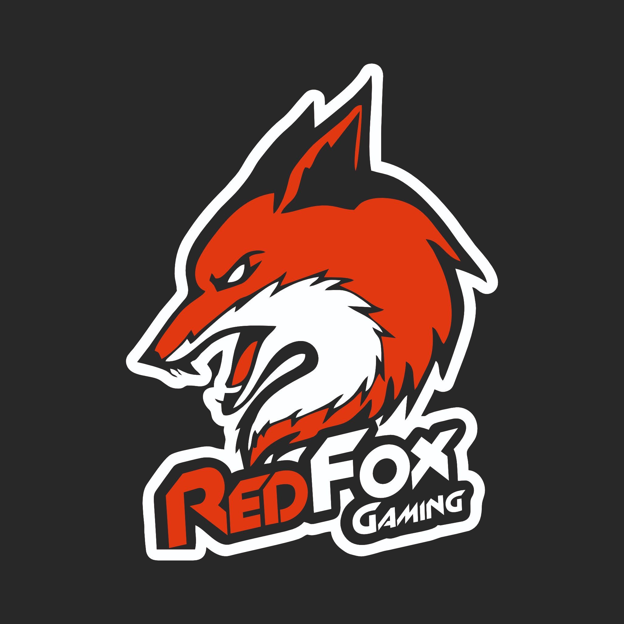Redfox_Team