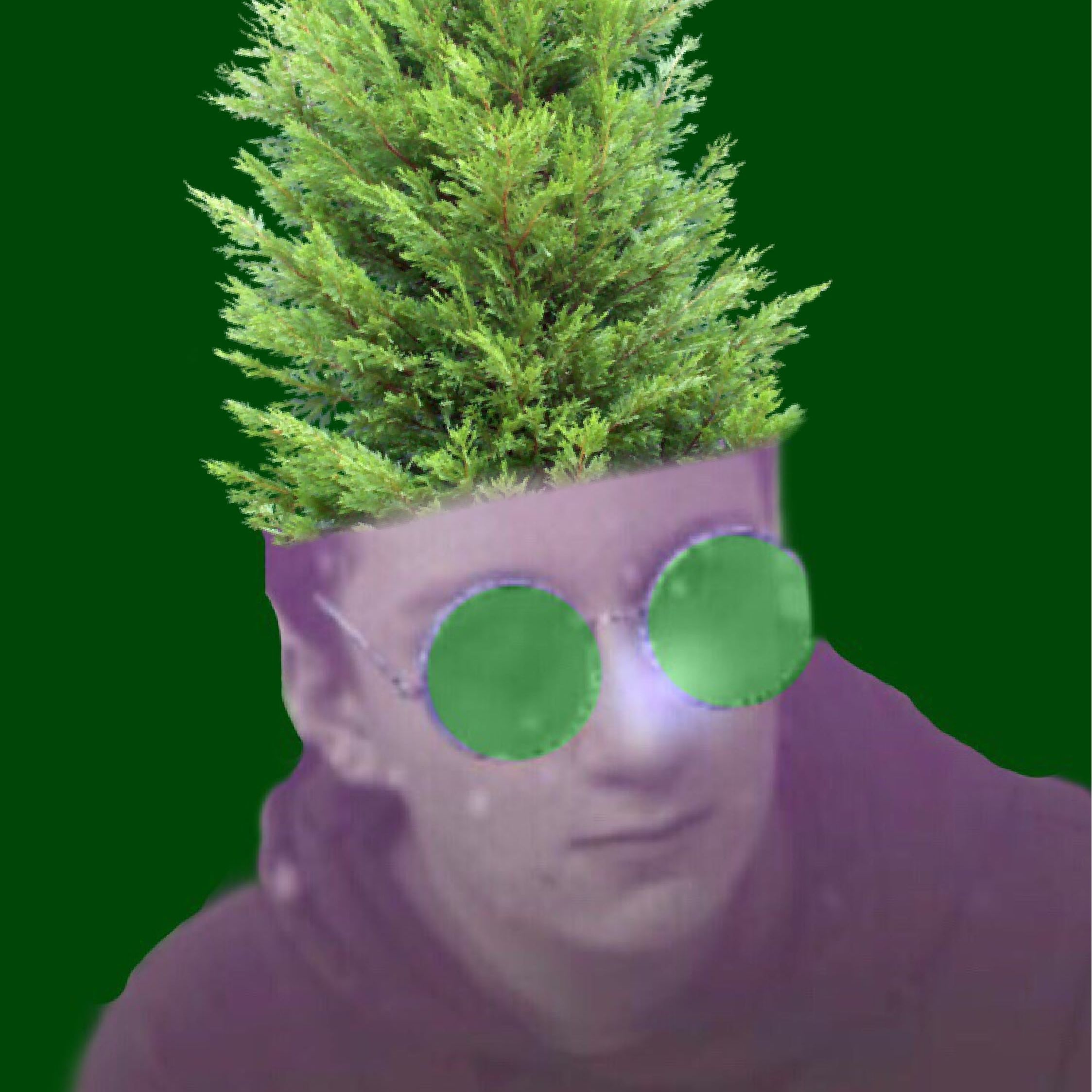 treemes