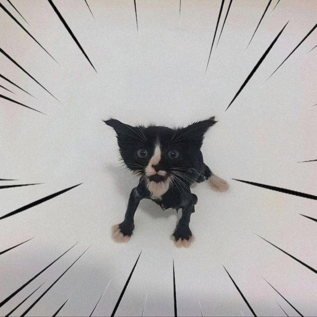 Ululushka avatar