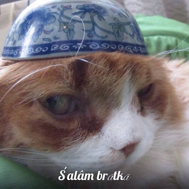 allahuaakbar
