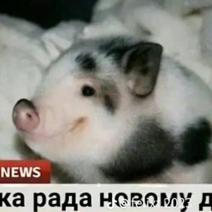 sadivnykn avatar