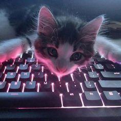 --Nikos avatar
