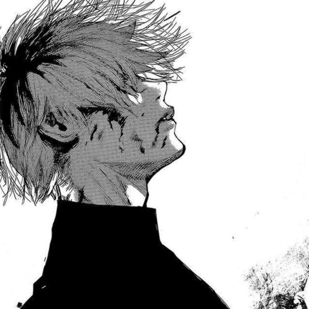 FollowXego avatar