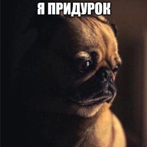 angelicluvs
