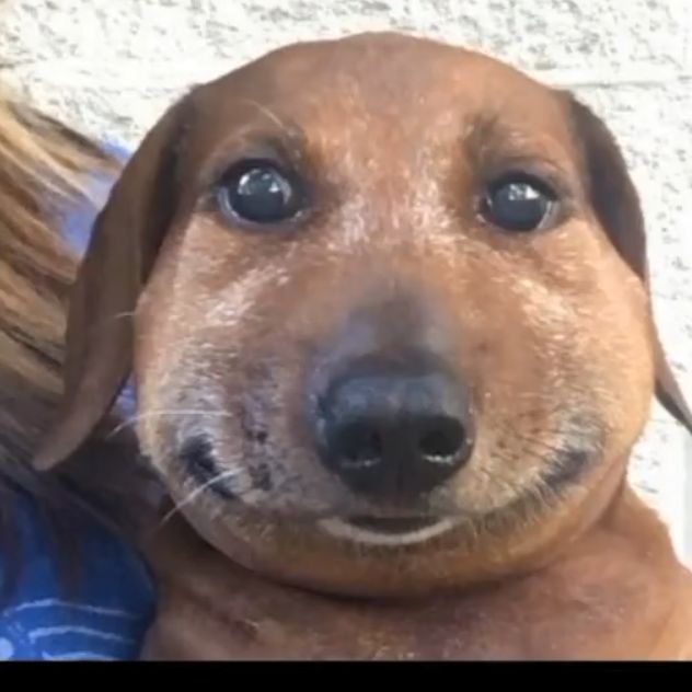 CyCeKu