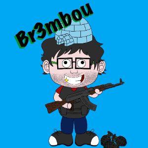 AFK_Br3mbou avatar