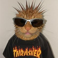 FLASHERj