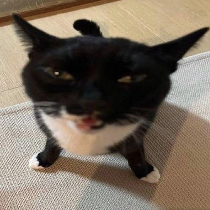 JXD avatar