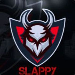 team_AFSlappY
