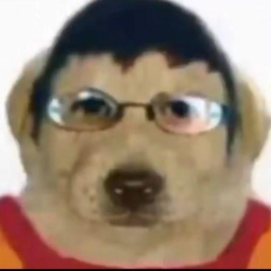 Majchienos avatar