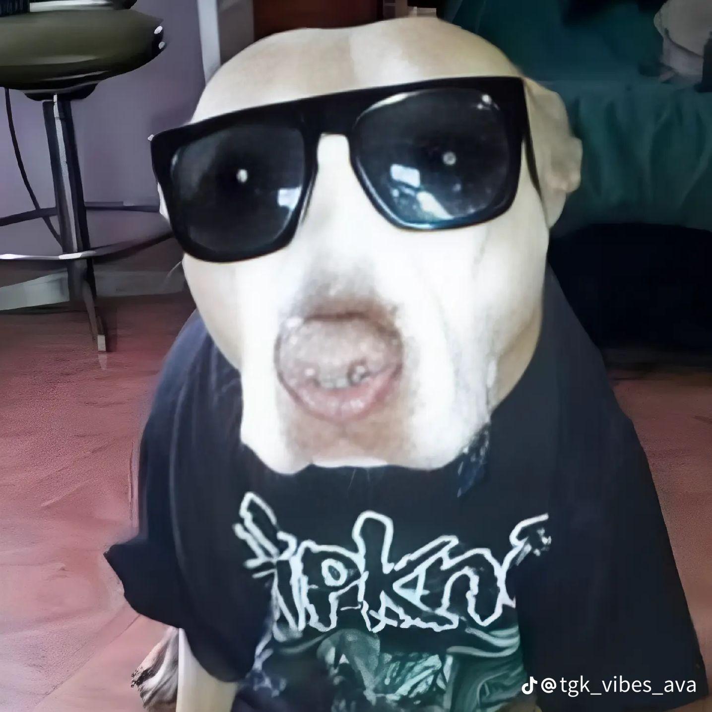 potrahun_tuz avatar