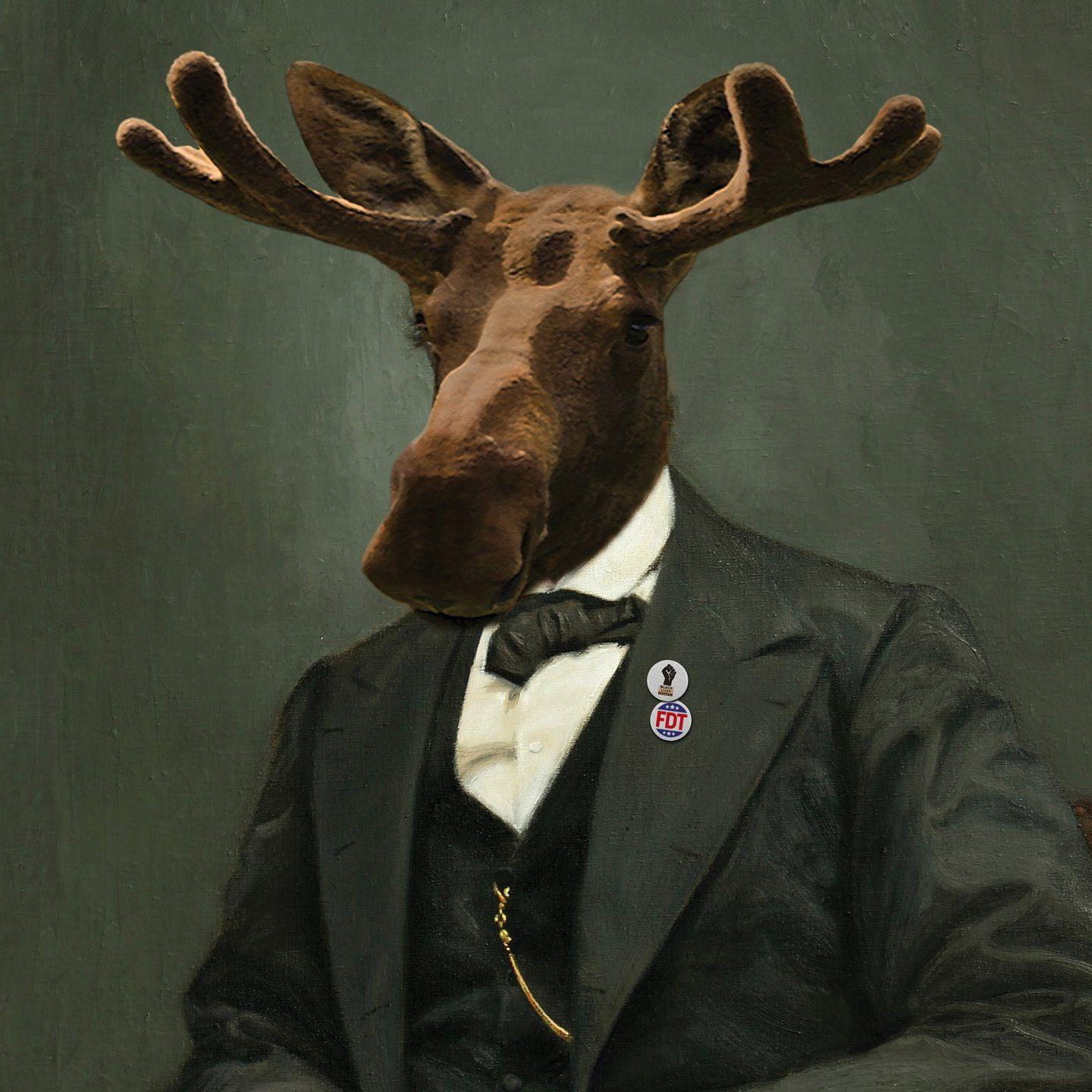 Sober_Moose avatar