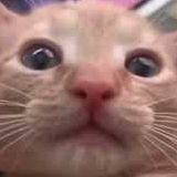 -D3FAUL7-