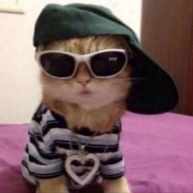 sl1nkkk avatar