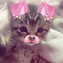 LyH4Tuk666 avatar